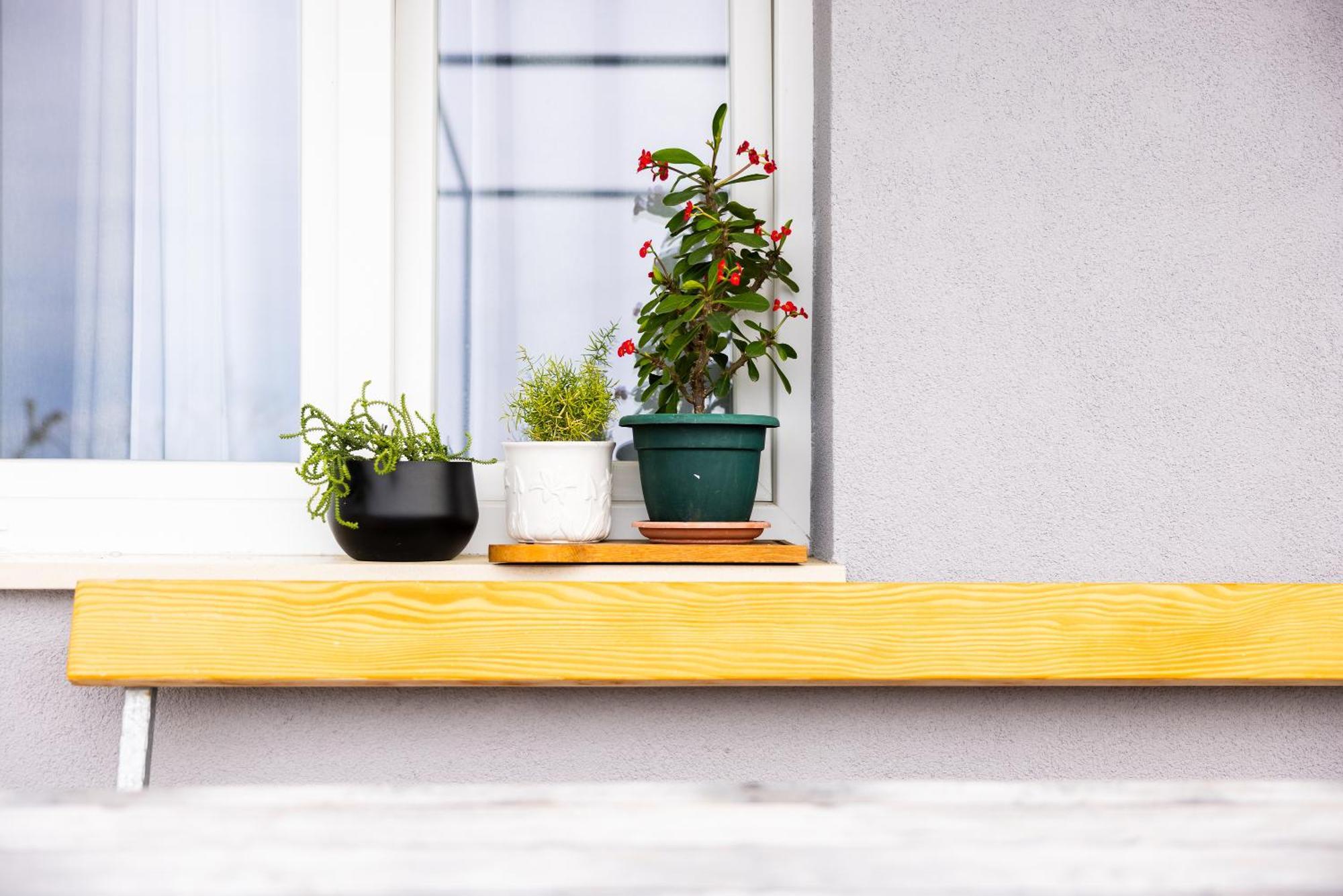 Apartman Nora Омиш Экстерьер фото